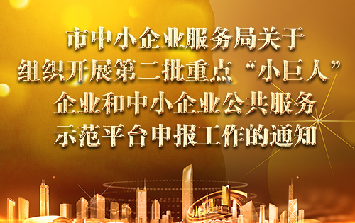 市中小企业服务局关于组织开展第二批重点“小巨人”企业和中小企业公共服务示范平台申报工作的通知