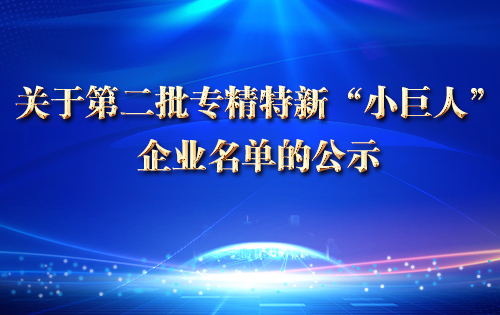 关于第二批专精特新“小巨人”企业名单的公示