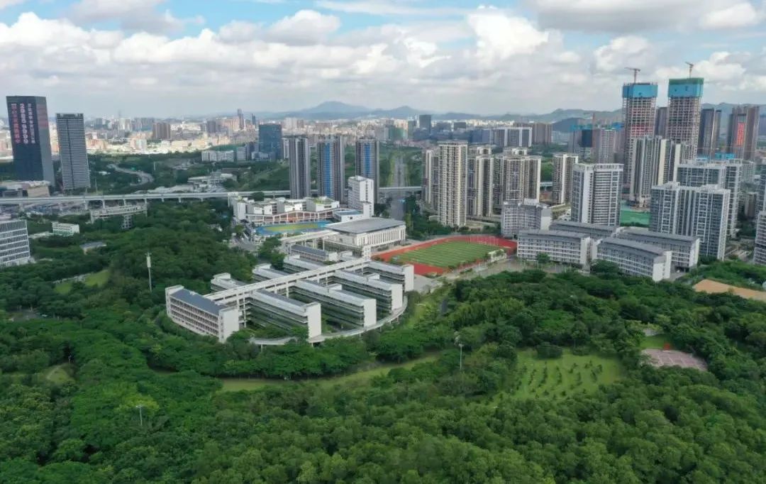 “战新”已兴，“未来”已来！光明给全世界交上亮眼“答卷”